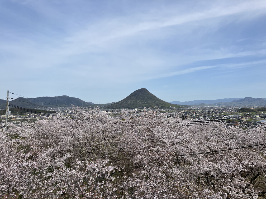 The view from atop Marugame castle